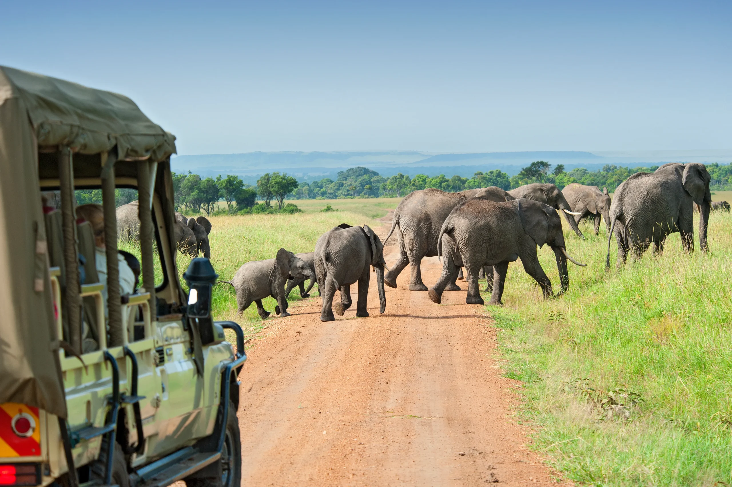 5-Day Big Five Kruger & Scenic Panorama Adventure