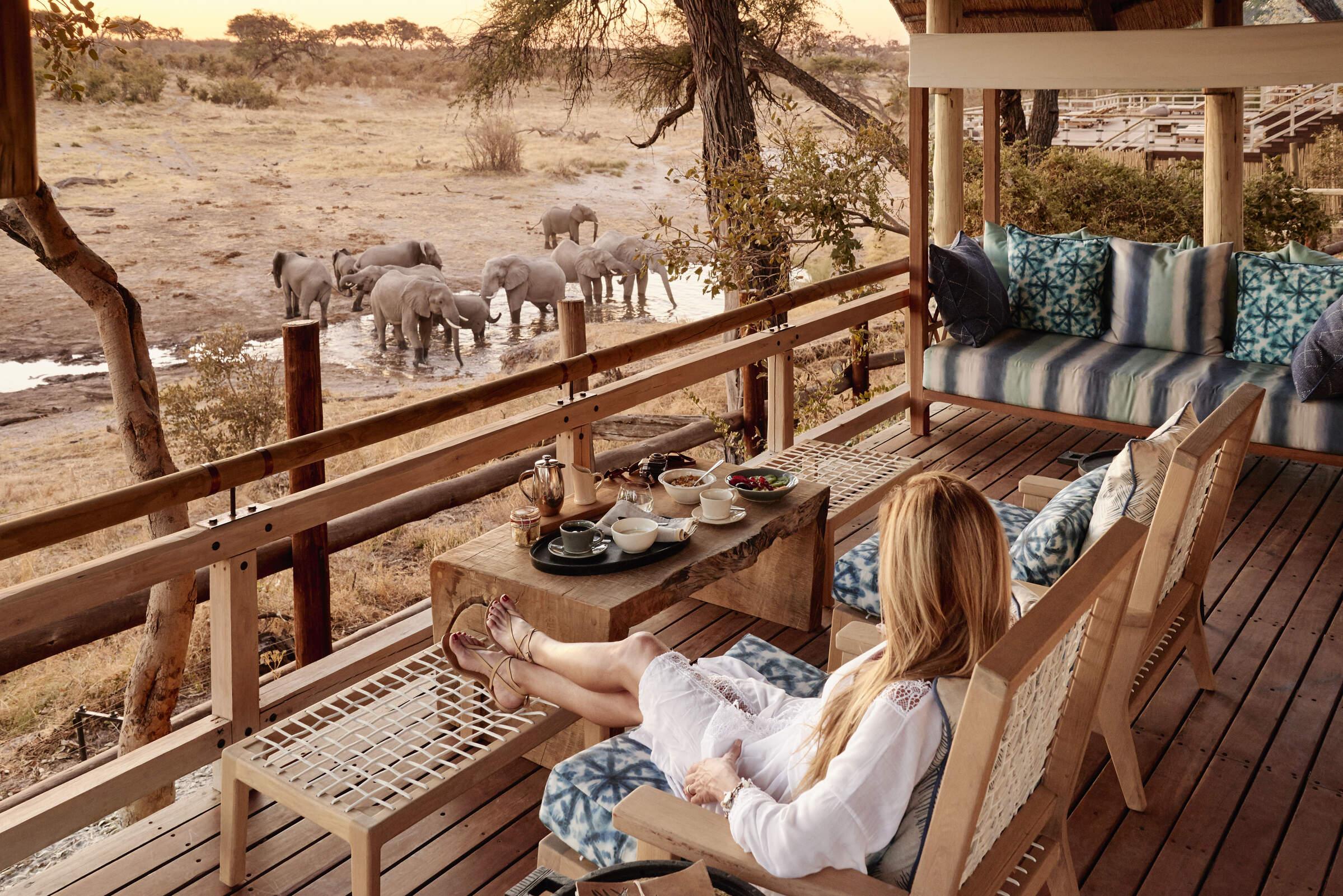 When Is Safari Cheapest? (Best Months for Deals)