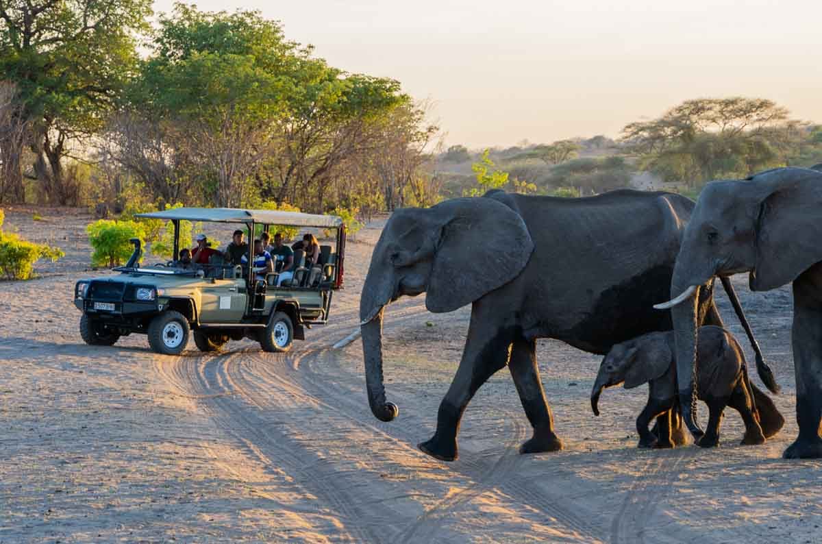 Elephant Valley Lodge, Chobe, Botswana