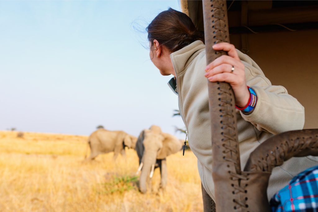 safari packages
