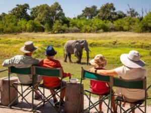 First-time travelers exploring wildlife on a guided African safari with Knap Tours