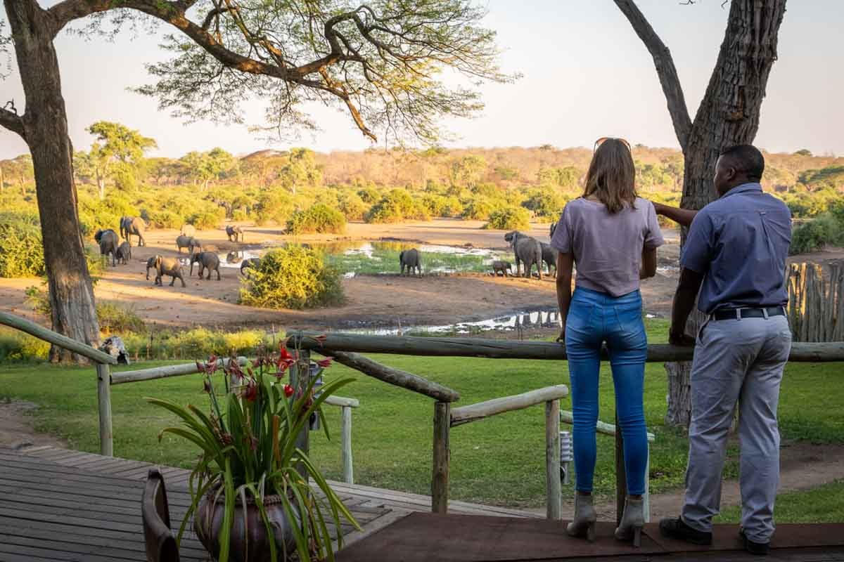 Elephant Valley Lodge, Chobe, Botswana