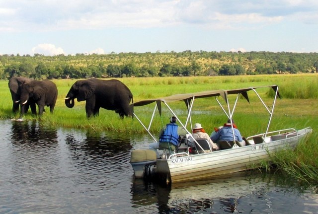 Chobe National Park Safaris