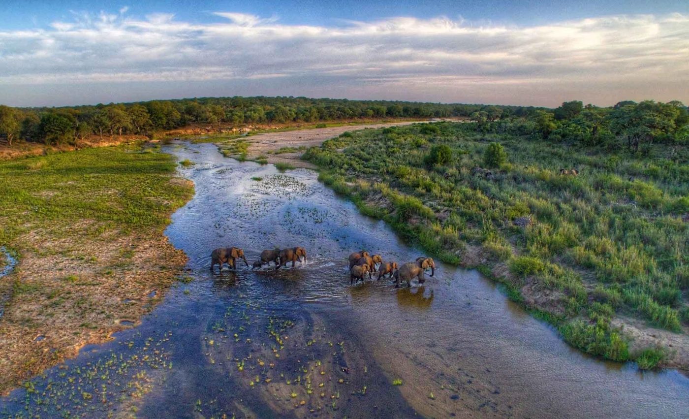 Umkumbe Safari Lodge, Sabi Sands, Greater Kruger