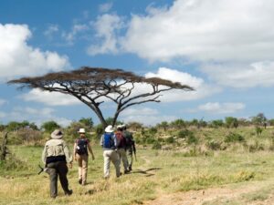 Group of travelers enjoying a walking safari through tall grass in Africa.