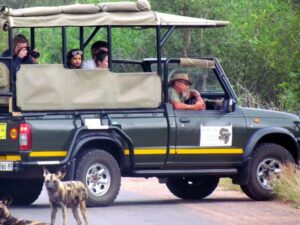 South Africa Game drive