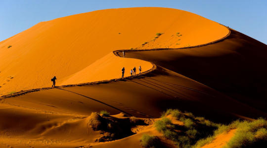 Namibia safari