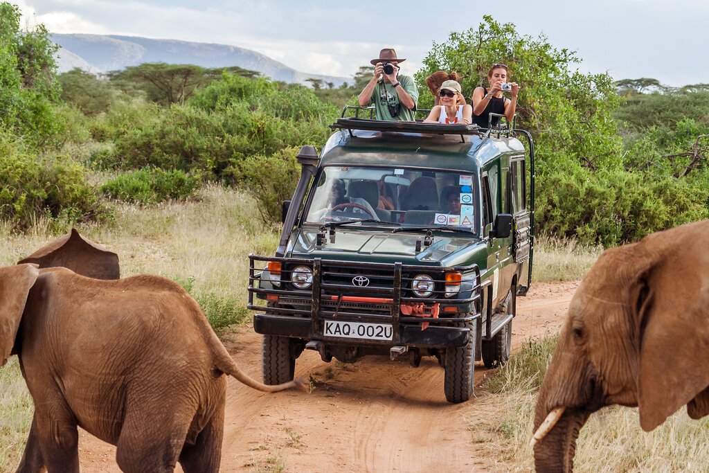 Do You Need a Transfer for a Safari? Full Guide