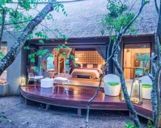 Safari tours in South Africa