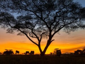 Chobe