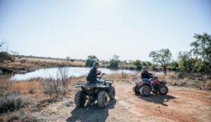 honeymoon safari near Johannesburg