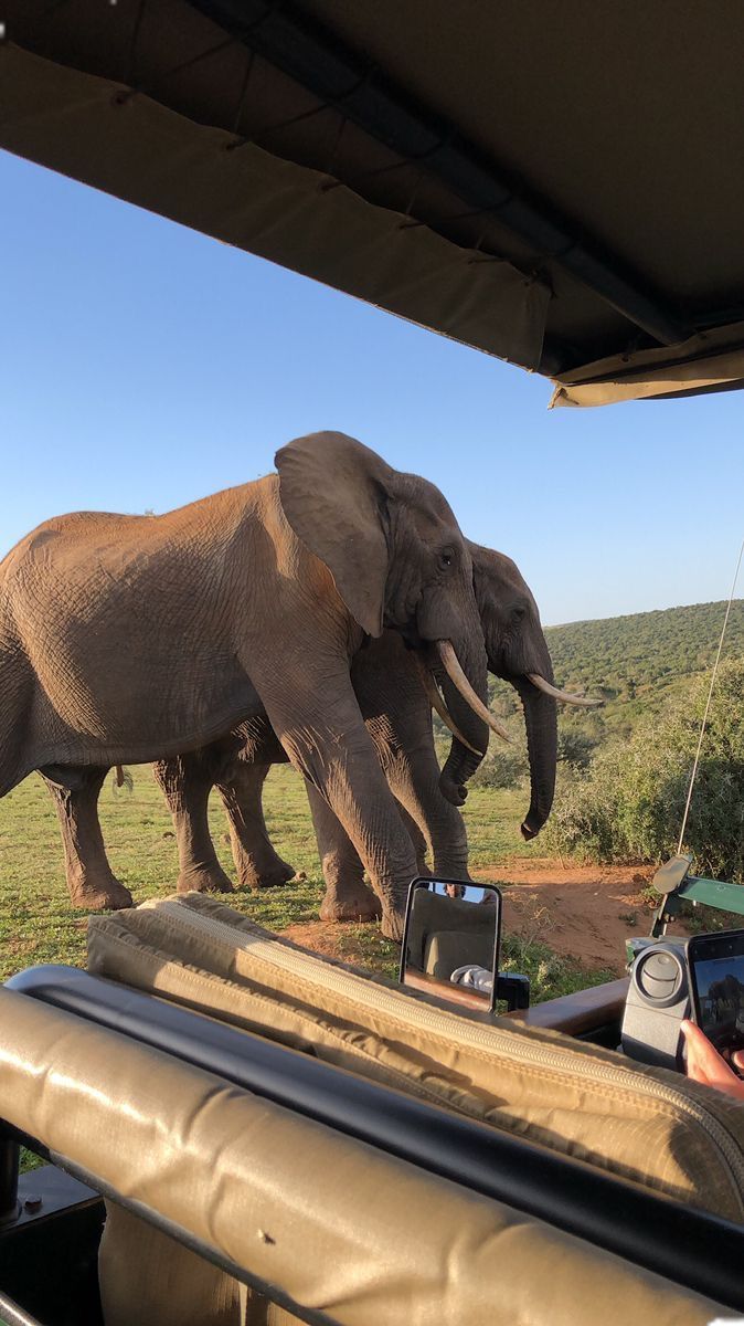 6 day Cape Town , Aquila safari & Sossuvlei tour
