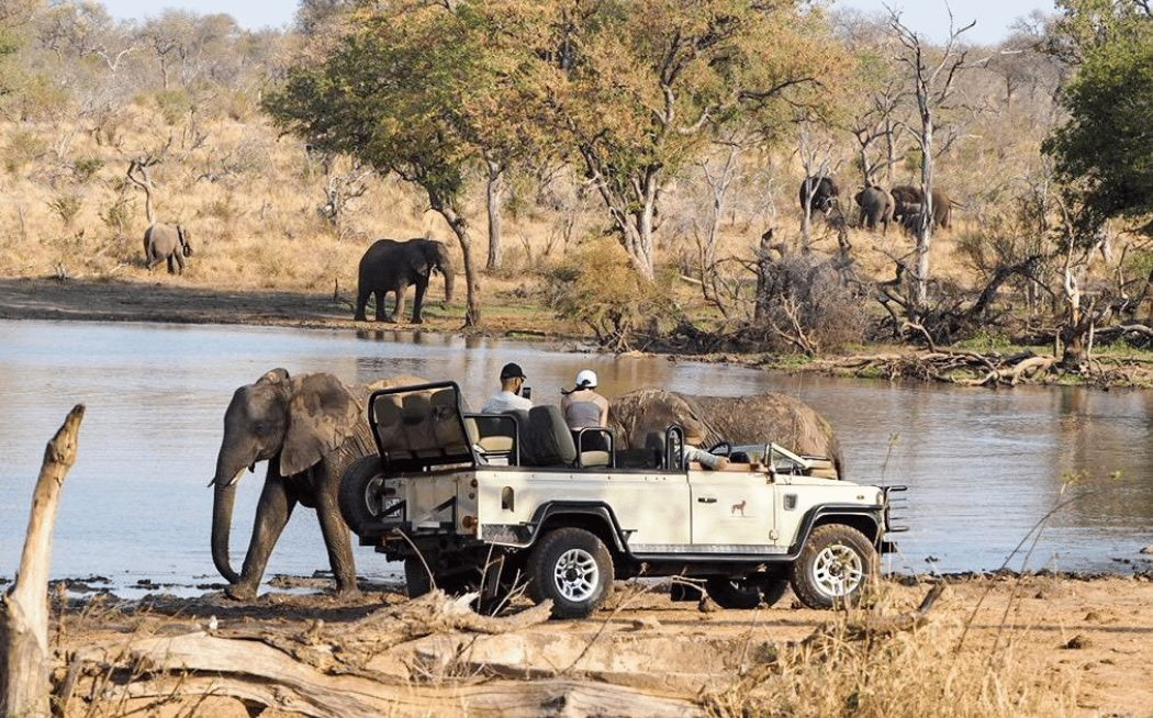Rafiki Bush Lodge, Greater Kruger