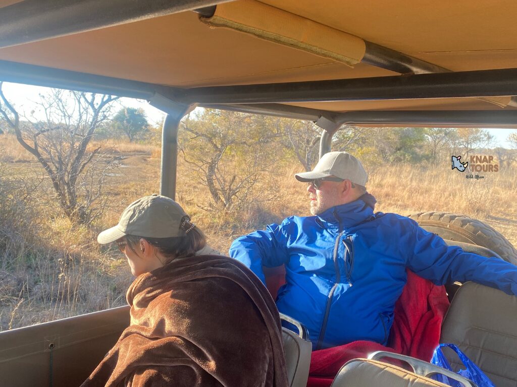 Budget safari South Africa