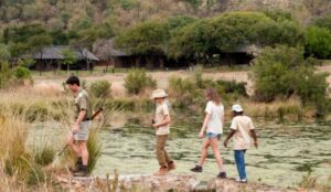 family safari