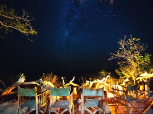 enjoying a night safari guided tour in the African bush