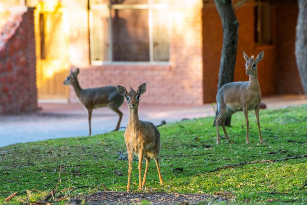 Waterberg Resort, Waterberg Plateau, Namibia
