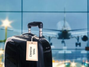 Lost luggage at an airport during a safari trip