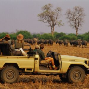 safari South Africa