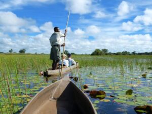 Okavango Delta vs Kruger