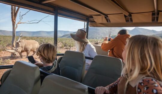 Cape Town & Nearby Safaris