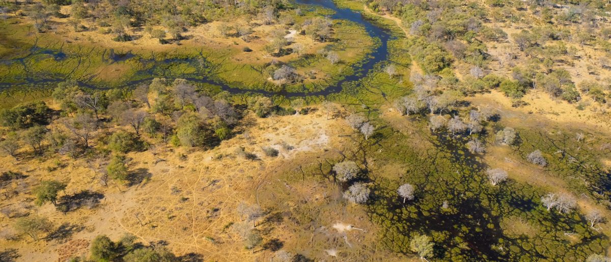 Machaba Camp, Okavango Delta, Botswana