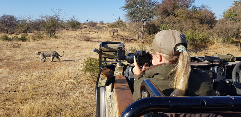 4-Day Signature Kruger & Panorama Wildlife Adventure
