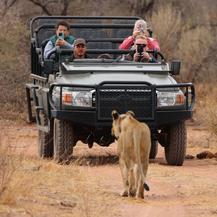 4 day mid range safari - Kwa Maritane Bush lodge