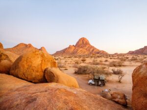 Desert-adapted wildlife in Namibia