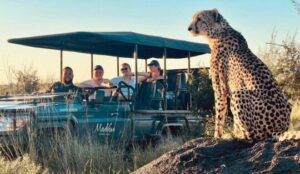 Madikwe Safaris