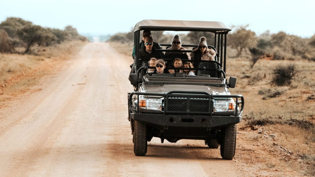 Self-drive safari experience in Namibia's Etosha National Park