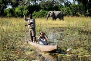 Mokoro safari in Botswana