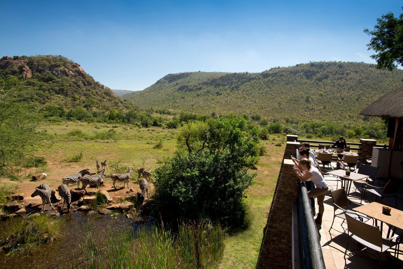 Kwa Maritane Bush Lodge, Pilanesberg