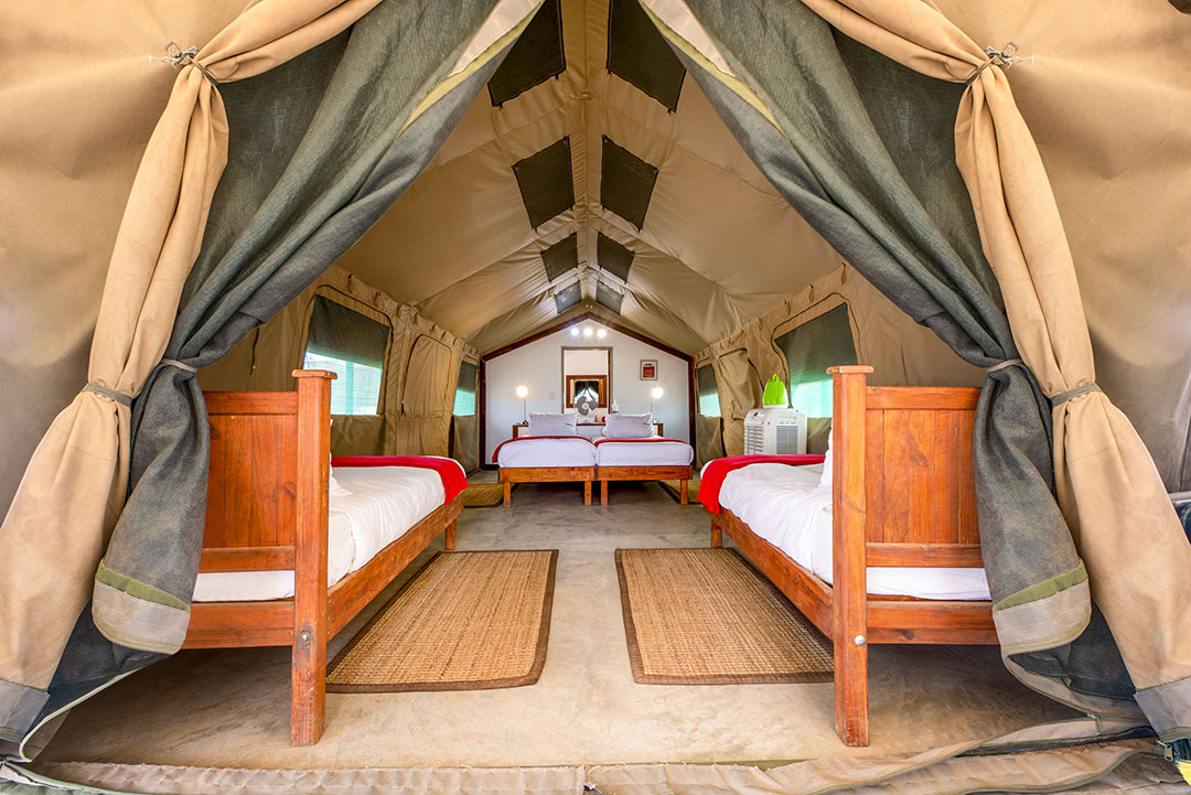 Namib Desert Camp (Camping2Go), Sossusvlei, Namib Desert, Namibia
