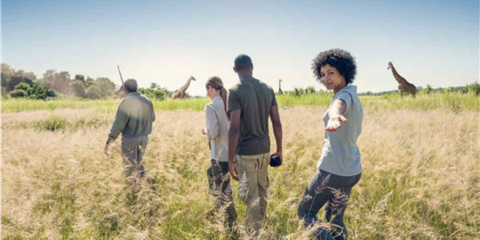 Group Safari walk