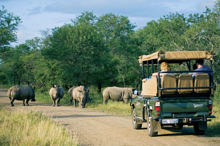 4 day luxury adventure - Black Rhino Game Lodge