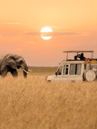 Sunrise Game Drives