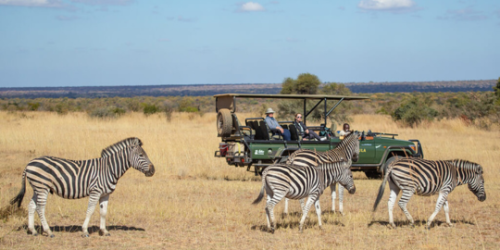 Mabula game lodge safari