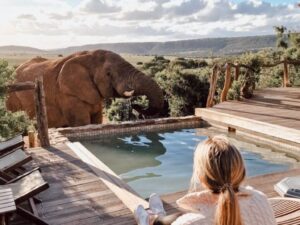 All inclusive African Safari