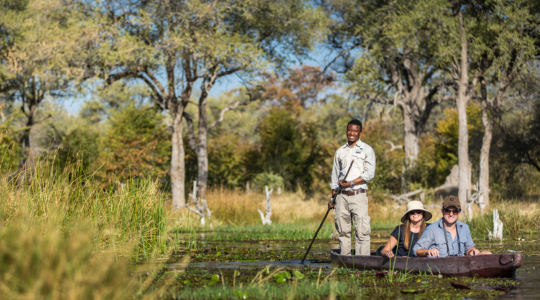 Botswana safari