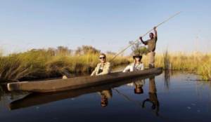 Okavango Delta Safari