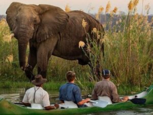 6-Day Chobe & Okavango
