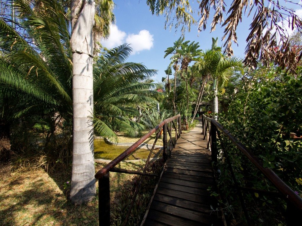 Tremisana Game Lodge, Balule, Greater Kruger