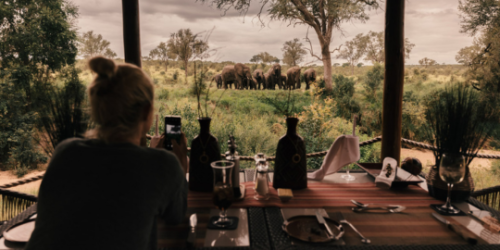 Hoyo Hoyo safari package