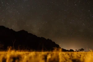 Stargazing