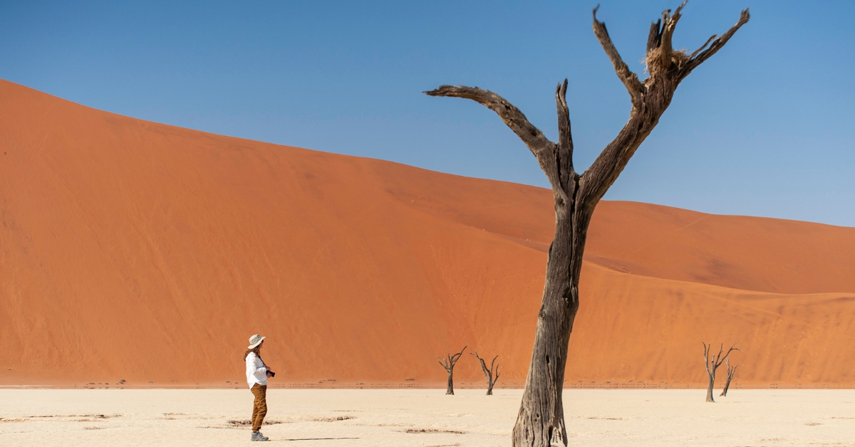 Namibia Red Dunes