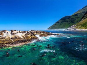 Cape Town boat cruise