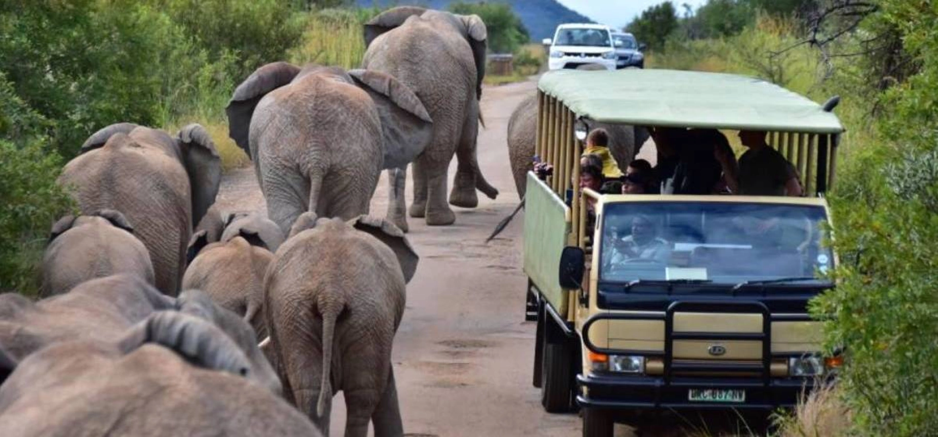 4 day Dumela budget camping tour fly in from Cape Town