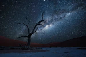 stargazing