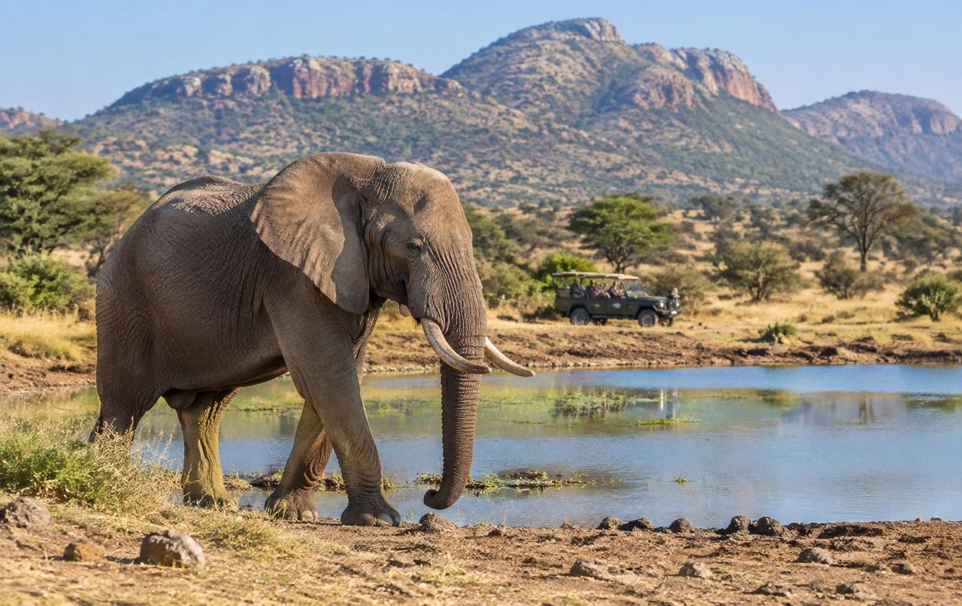 Pilanesberg Big Five Safari Day Trip from Johannesburg